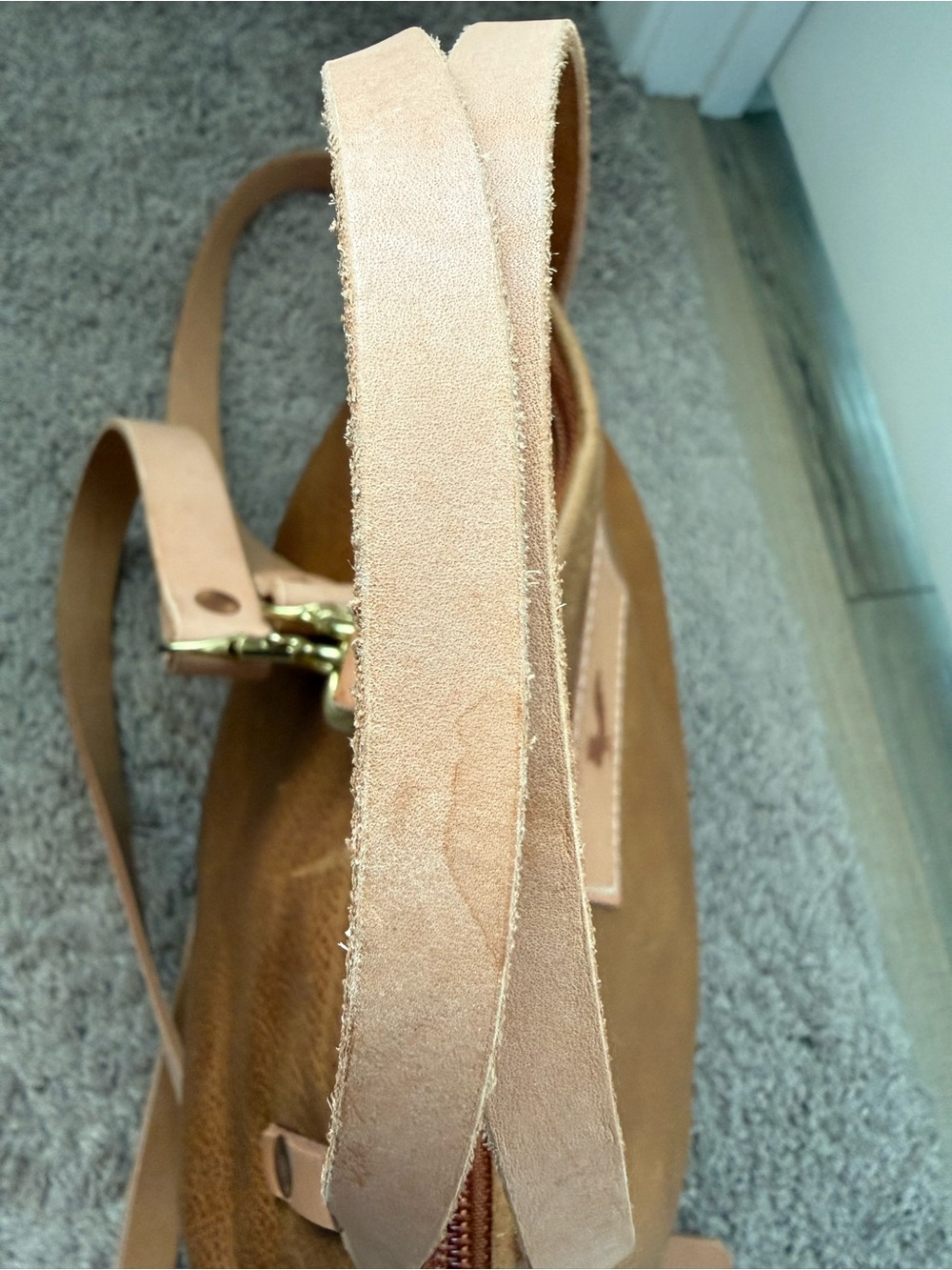 Meanwhile Back on the Farm Convertible Shoulder Bag / Backpack - Picture 7 of 16